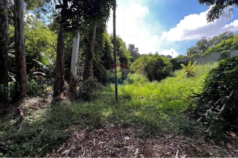 Terreno, 1395 m² - Foto 3