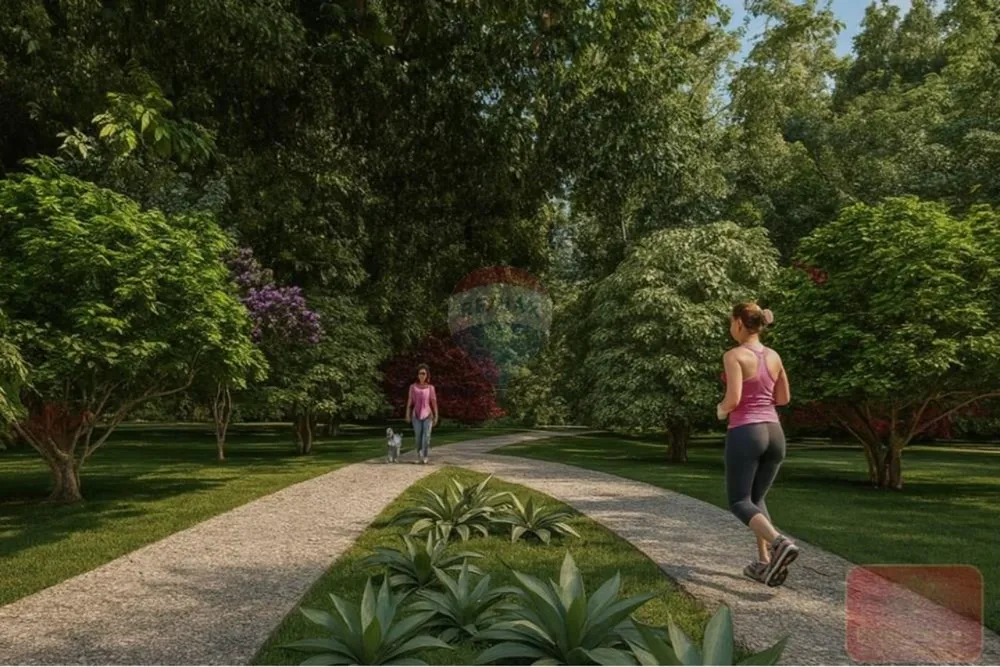 Terreno, 250 m² - Foto 4