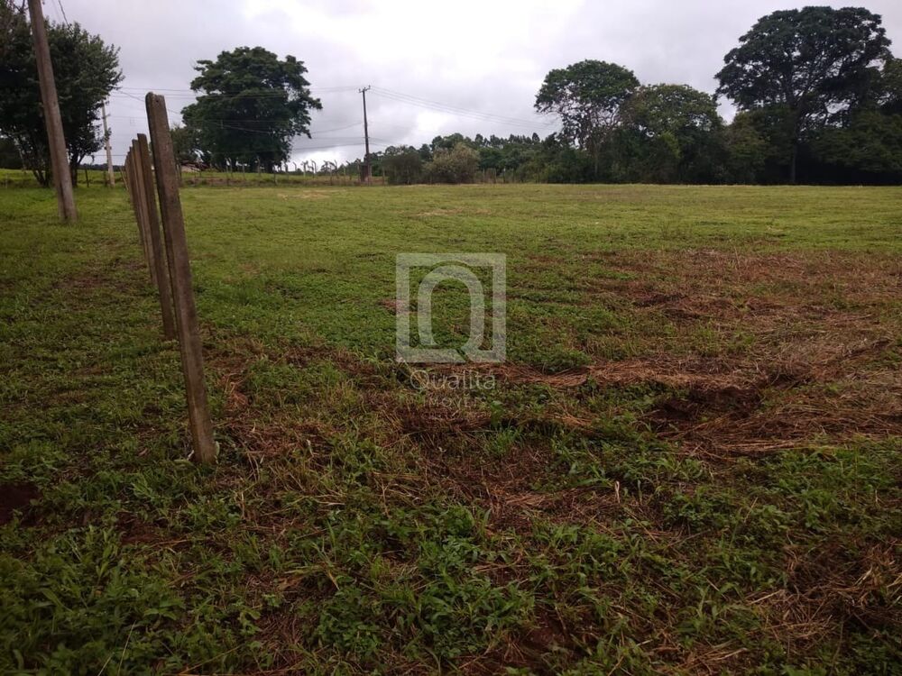 Terreno, 9000 m² - Foto 9
