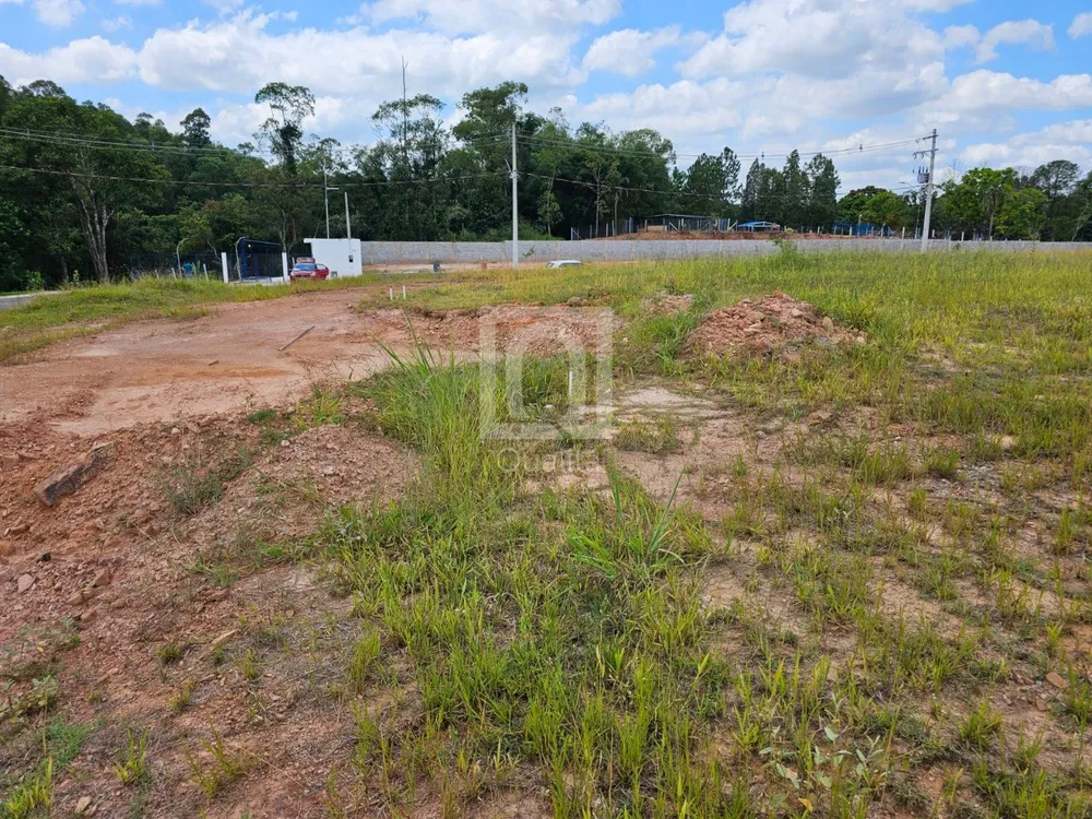 Terreno, 250 m² - Foto 3
