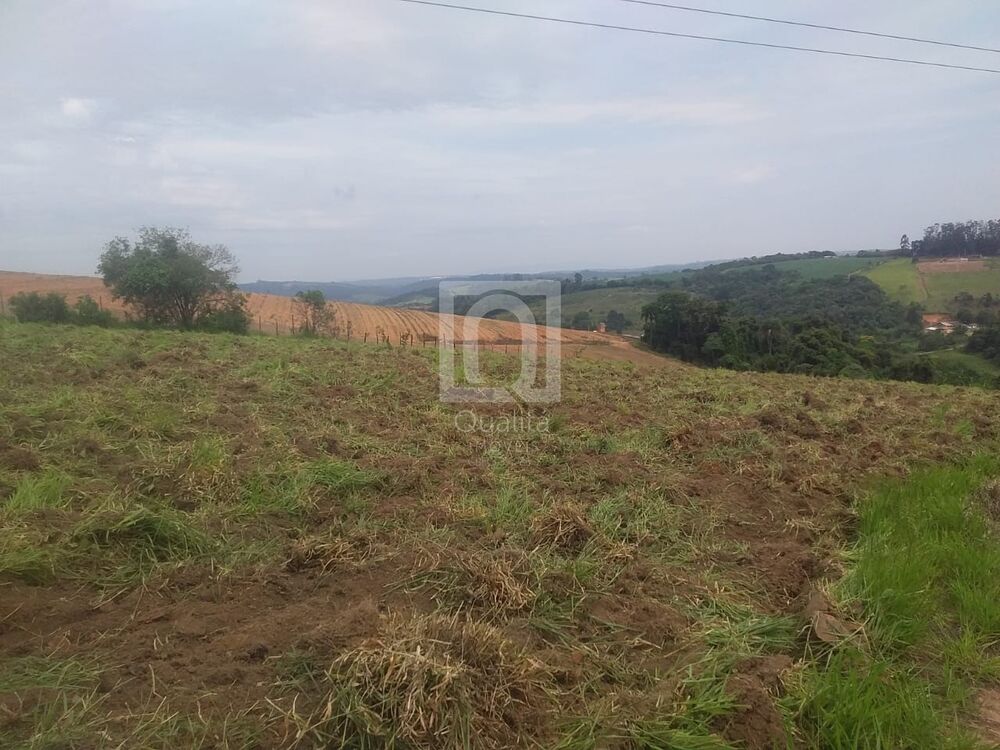 Terreno, 12827 m² - Foto 5