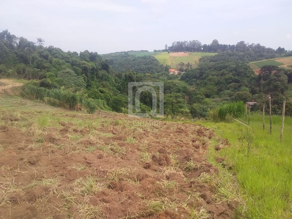 Terreno, 12827 m² - Foto 4