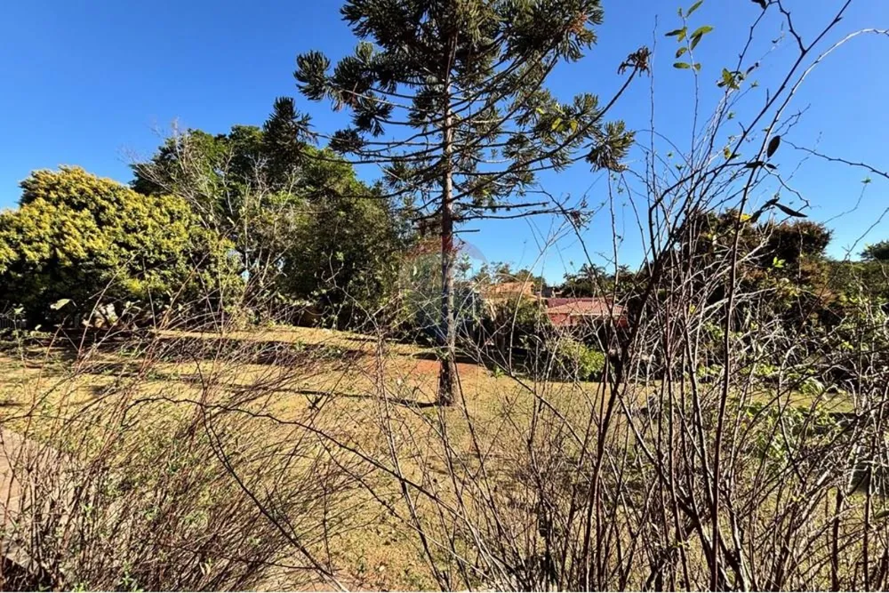 Chácara, 4 quartos, 3000 m² - Foto 3