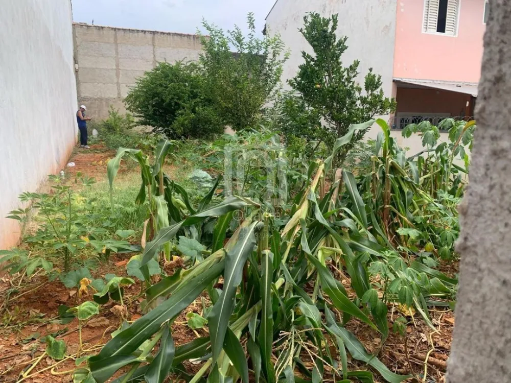 Terreno - Foto 2