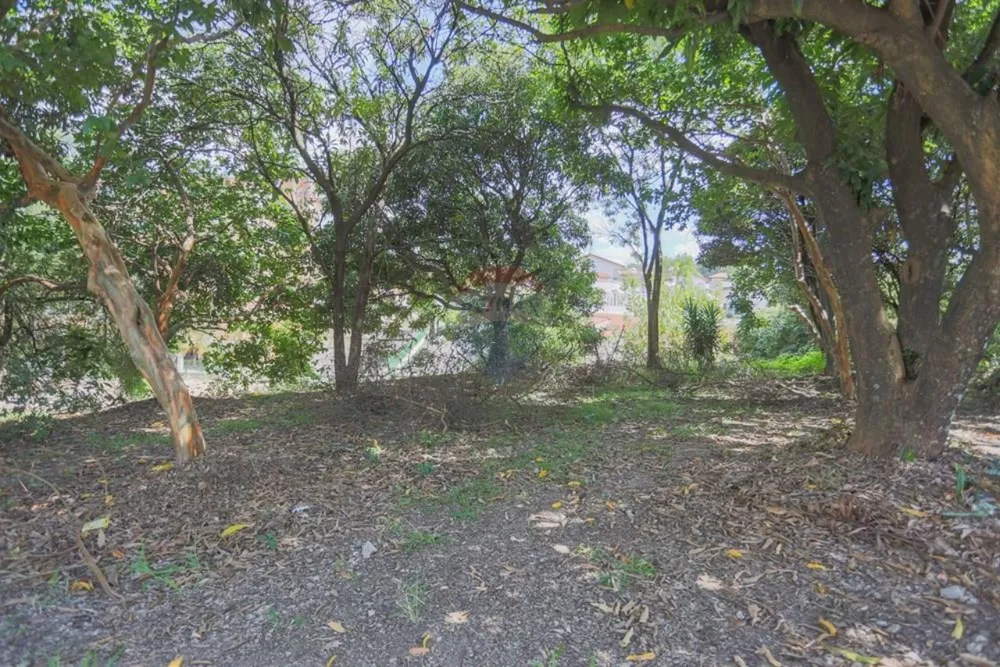 Sobrado, 4 quartos - Foto 4
