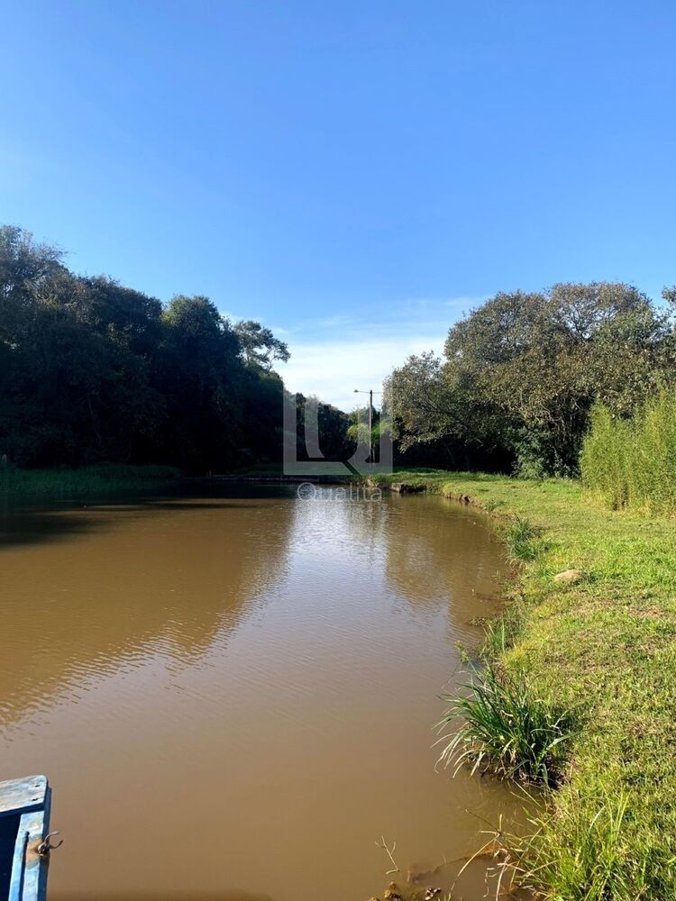 Sítio, 4 quartos, 4 hectares - Foto 10