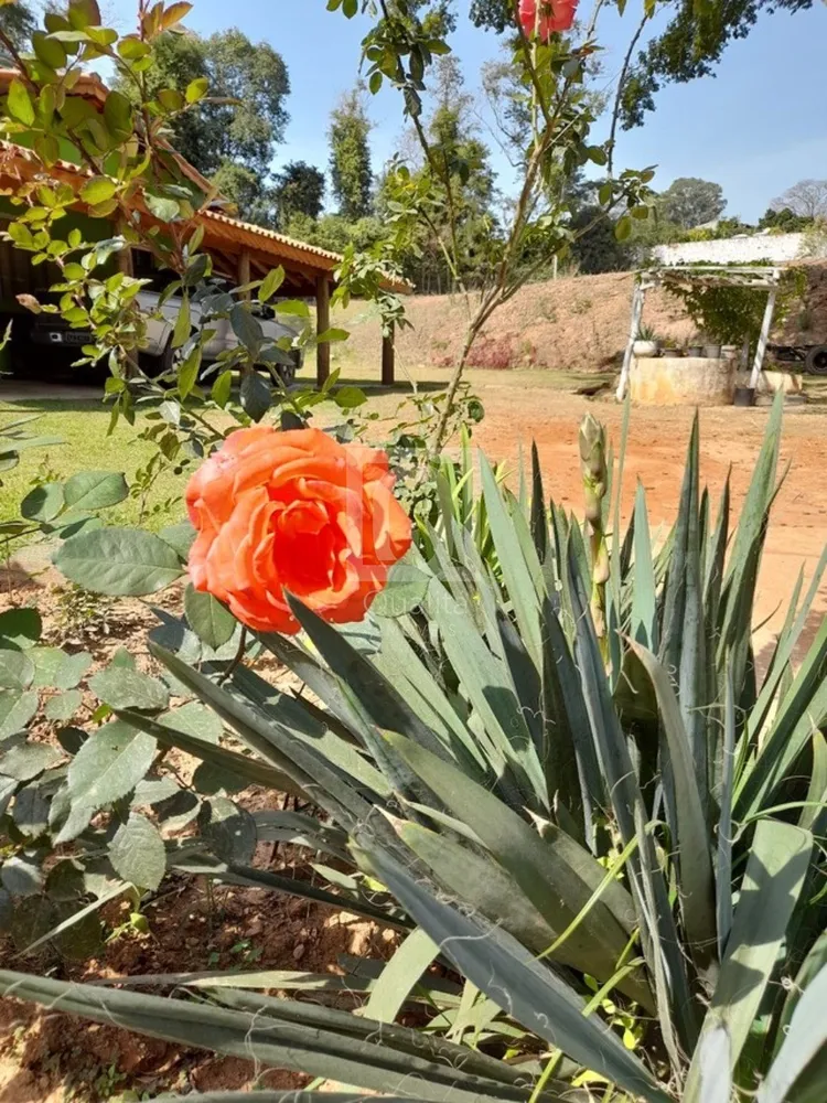 Sítio, 7 quartos, 2 hectares - Foto 8