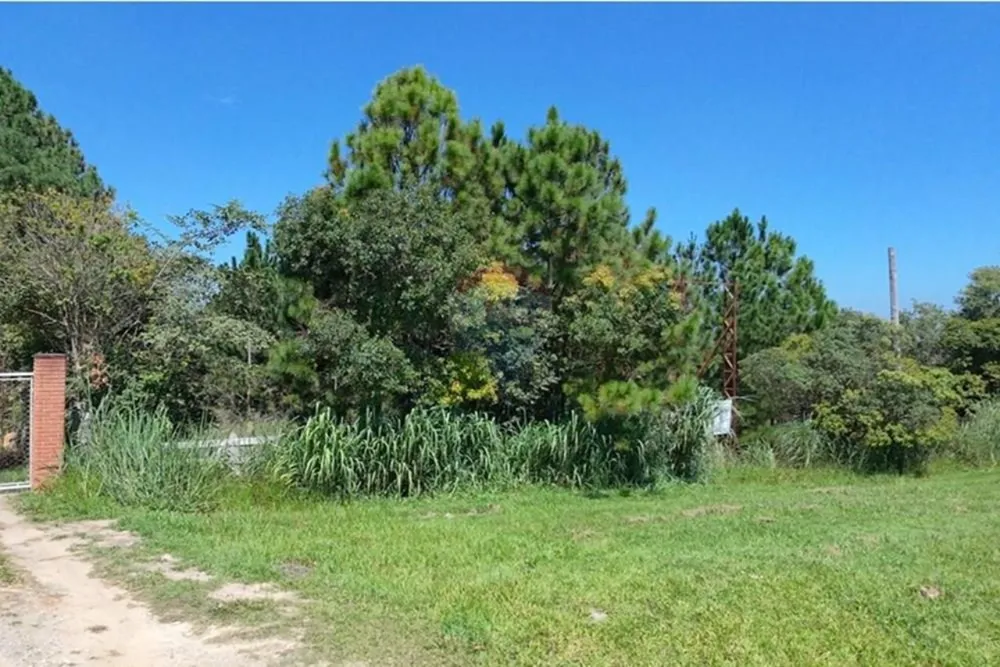 Terreno, 142086 m² - Foto 11