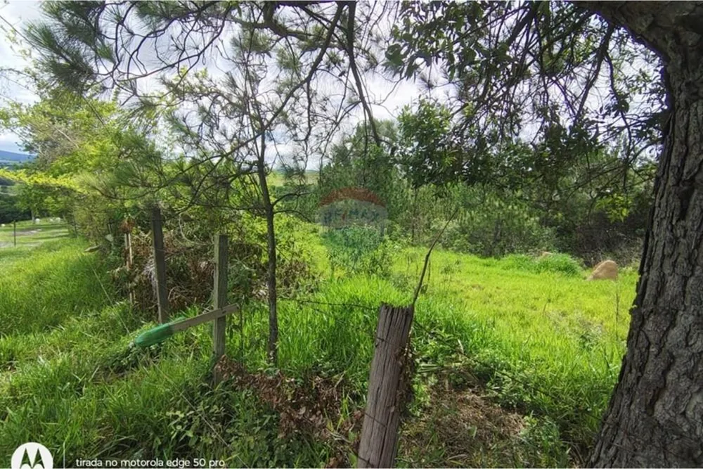 Terreno, 142086 m² - Foto 2