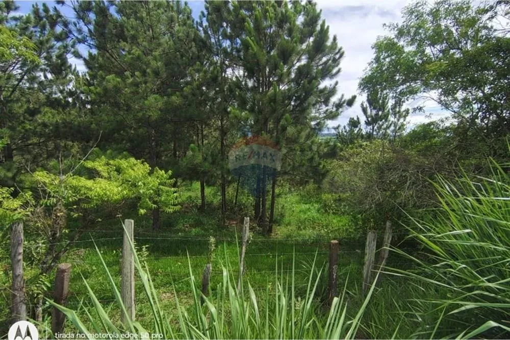 Terreno, 142086 m² - Foto 4