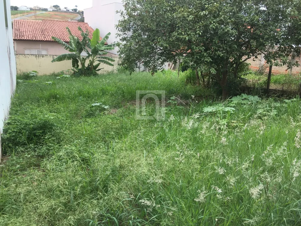Terreno, 250 m² - Foto 12