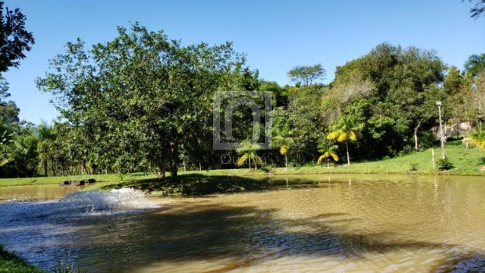 Sítio, 5 quartos, 169 hectares - Foto 3