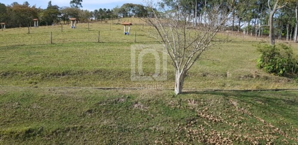 Sítio, 5 quartos, 169 hectares - Foto 1