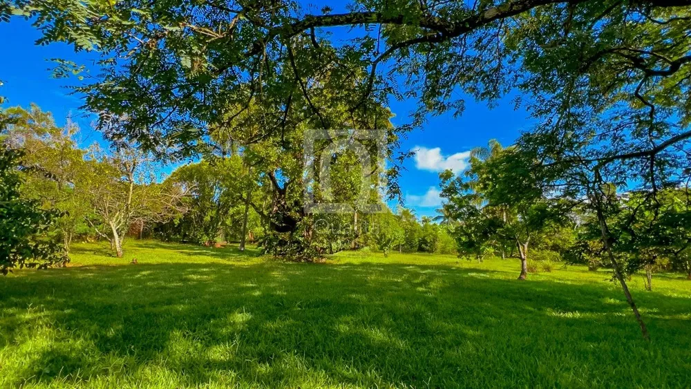 Chácara, 4 quartos, 5000 m² - Foto 2