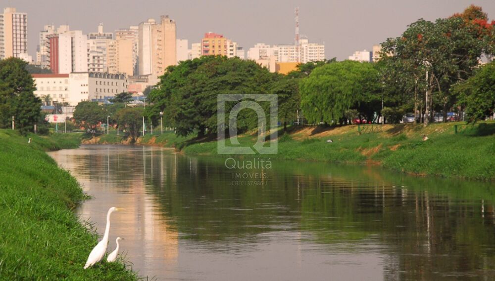 Terreno, 250 m² - Foto 3