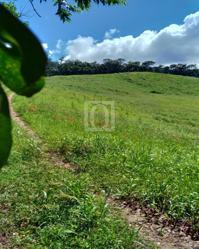 Sítio à venda com 3 quartos, 10m² - Foto 47