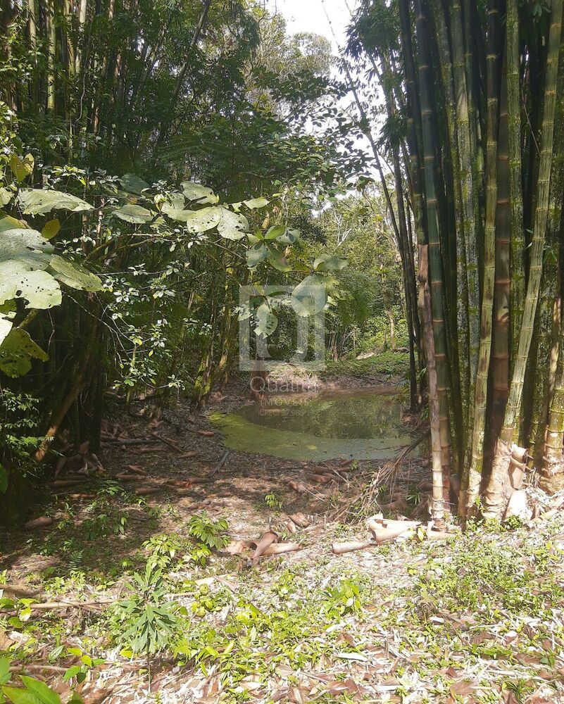Sítio à venda com 3 quartos, 10m² - Foto 22