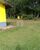 Sítio, 3 quartos, 10 m² - Foto 48