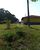 Sítio, 3 quartos, 10 m² - Foto 38