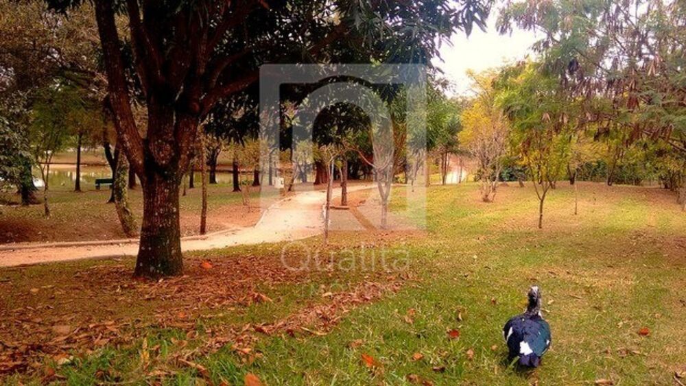 Terreno, 376 m² - Foto 13