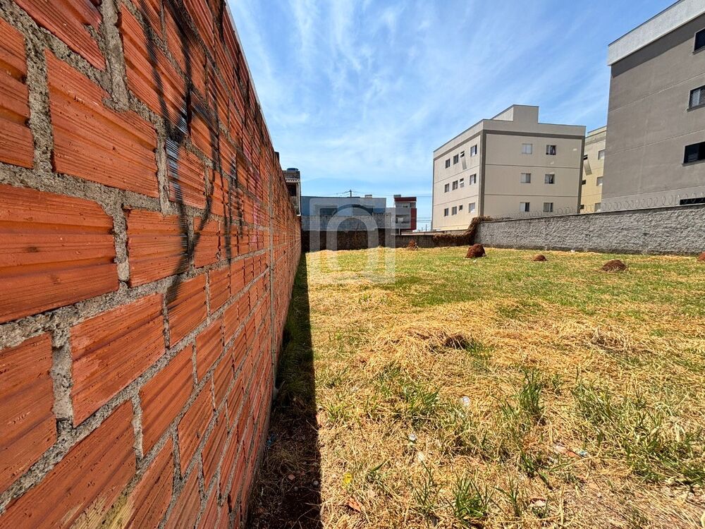 Loteamento e Condomínio - Foto 4