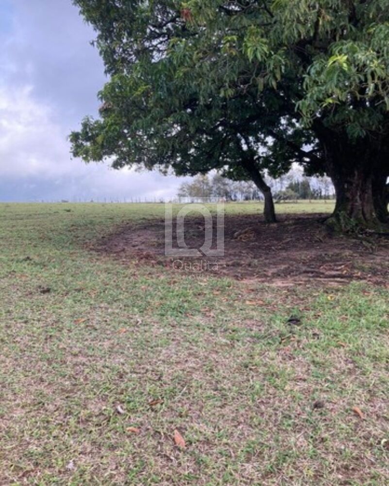 Terreno à venda, 27000m² - Foto 2