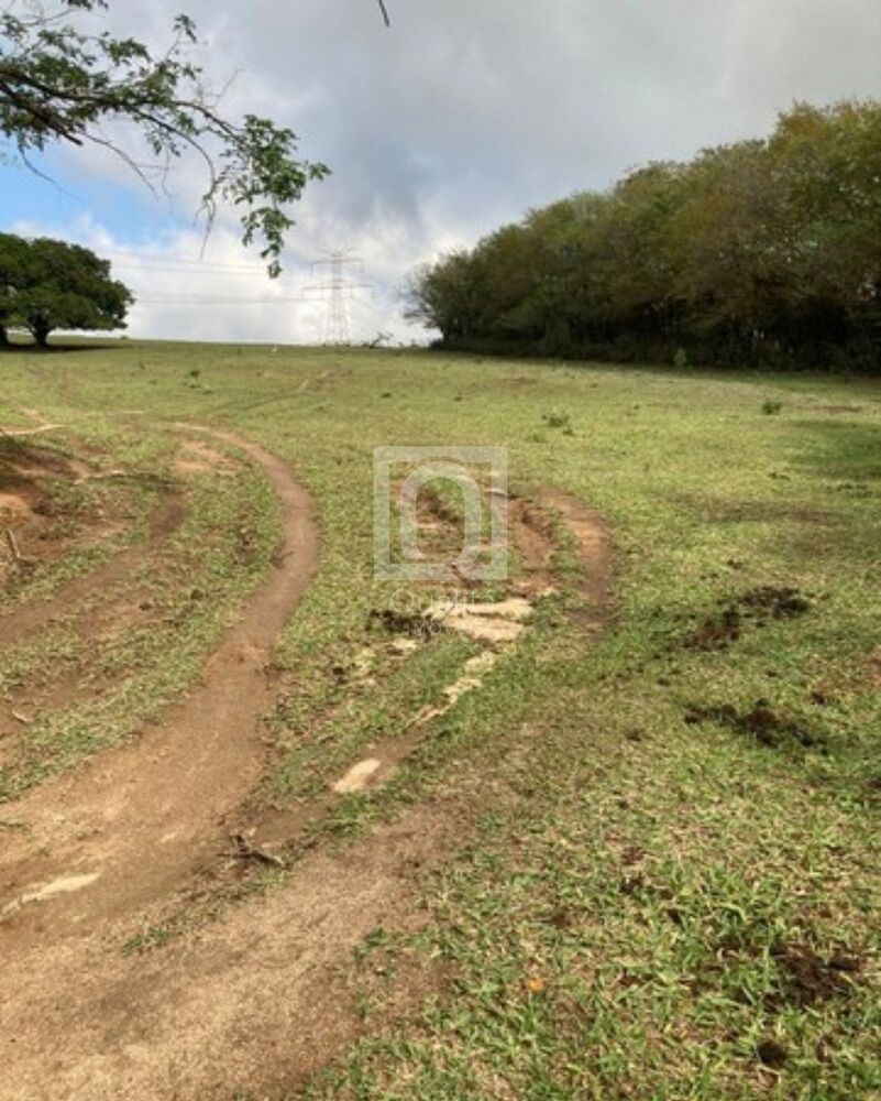 Terreno à venda, 27000m² - Foto 3