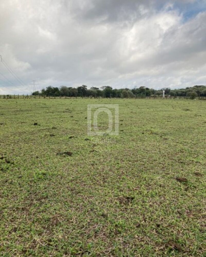 Terreno à venda, 27000m² - Foto 4