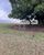 Terreno, 27000 m² - Foto 2