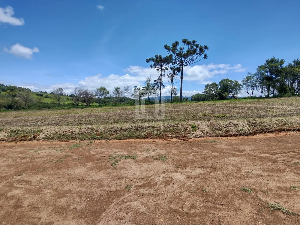 Terreno, 1000 m² - Foto 2