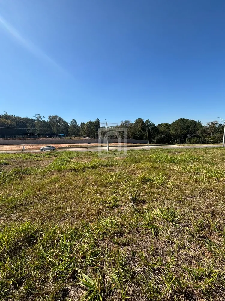 Terreno, 250 m² - Foto 6