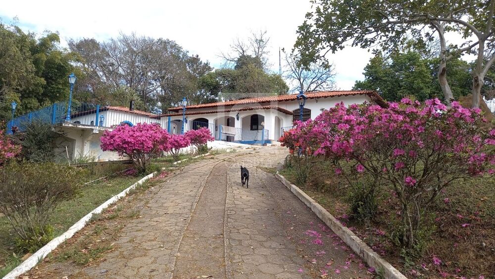 Sítio, 3 quartos, 2 hectares - Foto 15