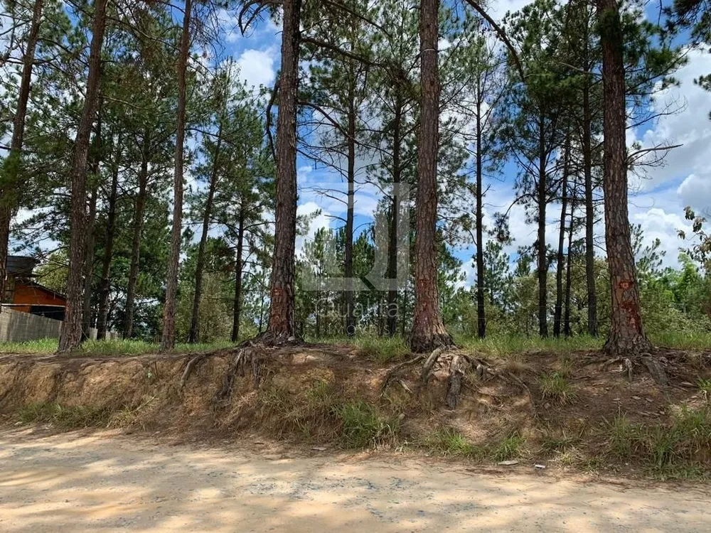 Terreno, 1000 m² - Foto 3