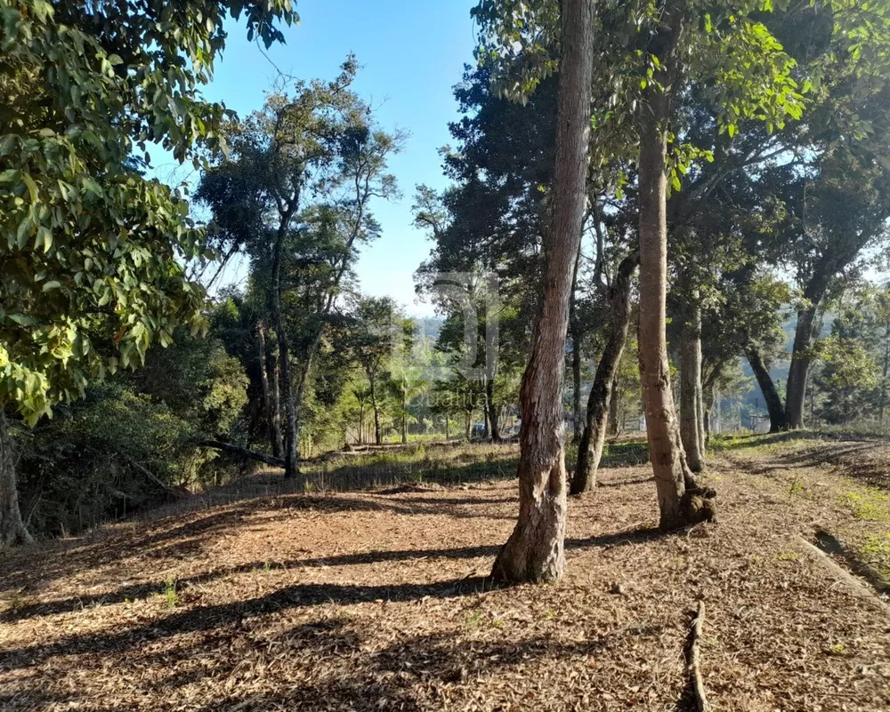 Terreno à venda, 5850m² - Foto 1