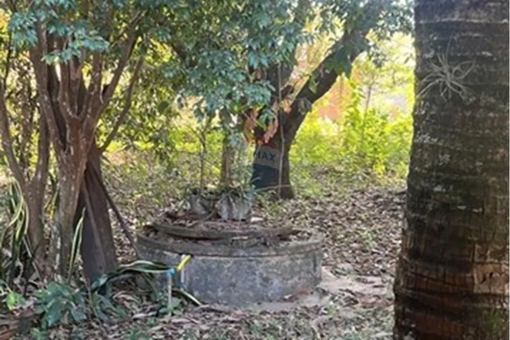 Chácara, 2 quartos, 2000 m² - Foto 11
