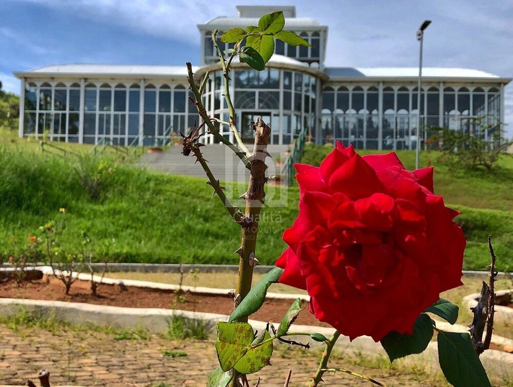 Apartamento, 2 quartos, 46 m² - Foto 20