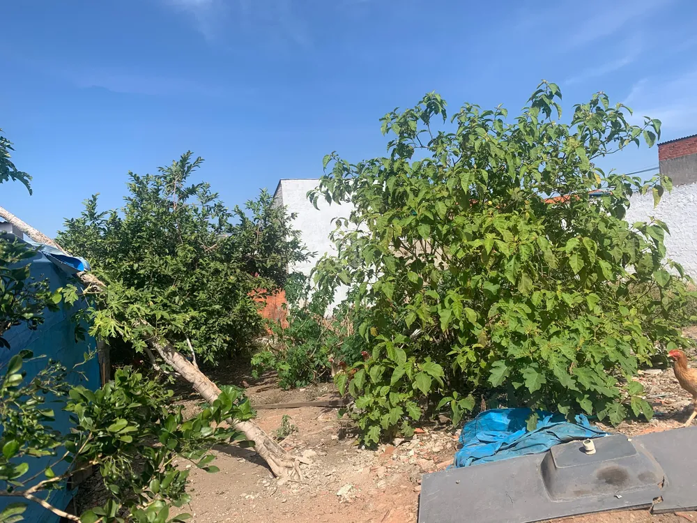 Terreno, 125 m² - Foto 6