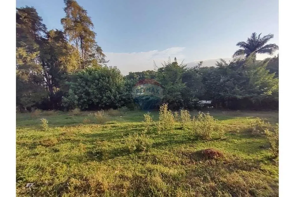 Terreno, 623 m² - Foto 6