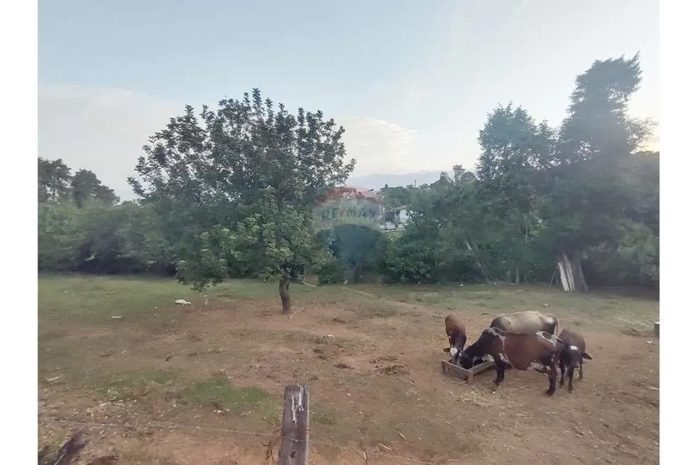 Terreno, 623 m² - Foto 2