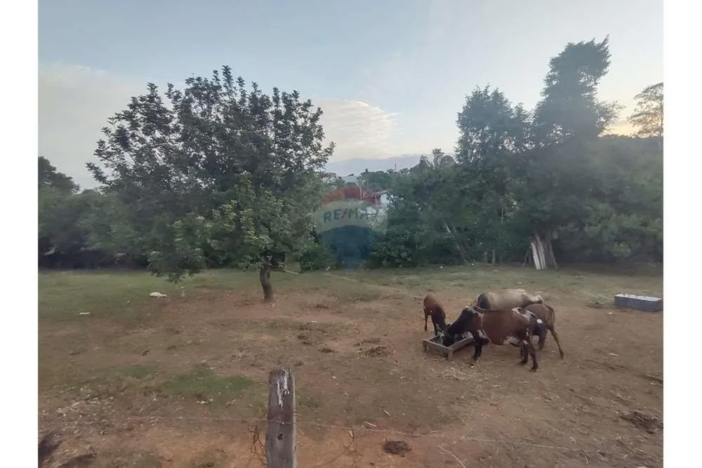 Terreno, 623 m² - Foto 8