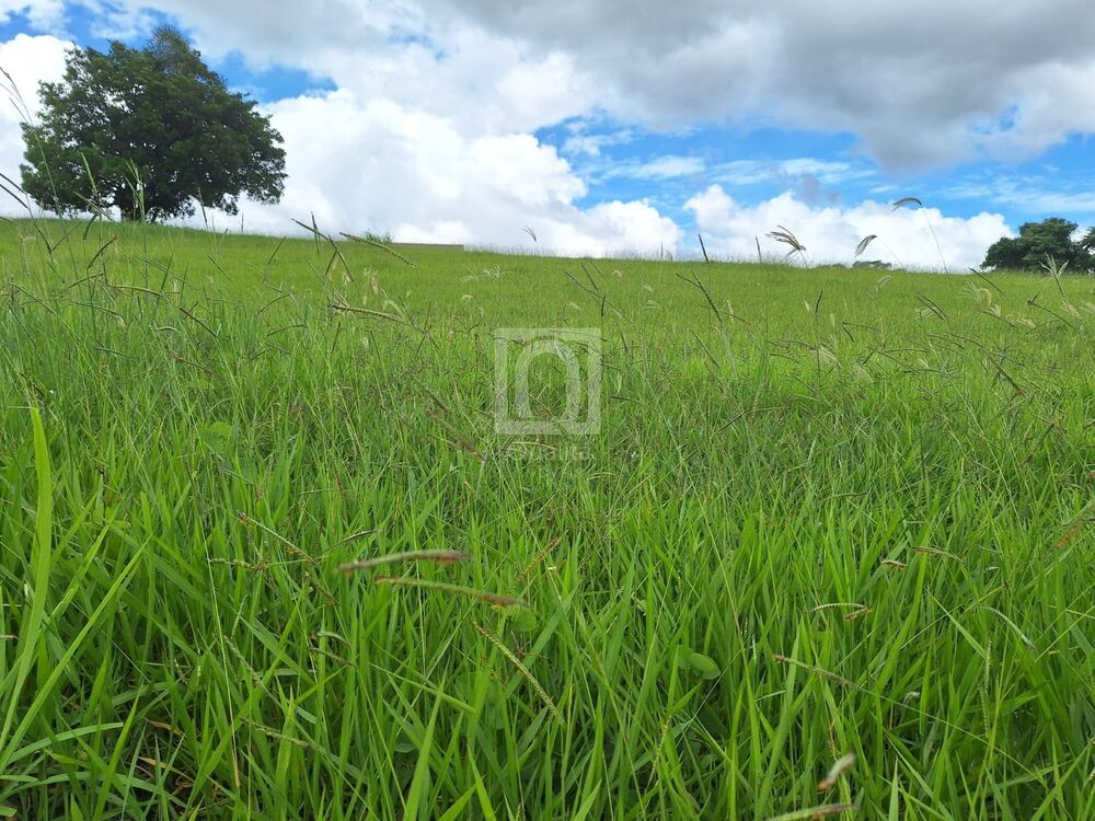 Terreno, 1000 m² - Foto 17
