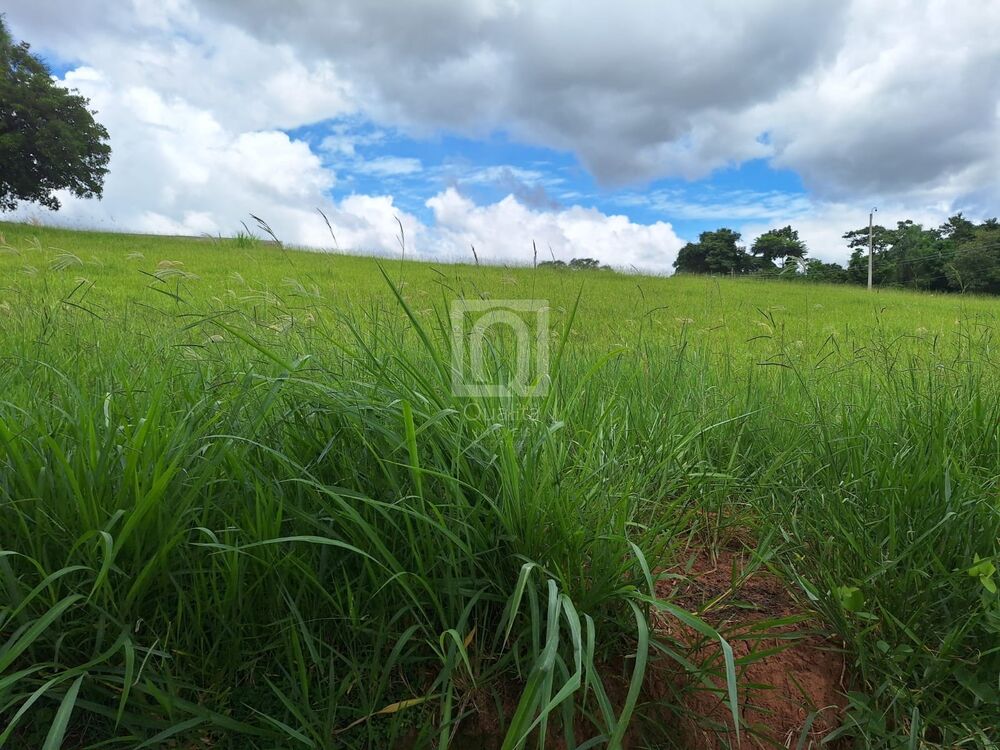 Terreno, 1000 m² - Foto 13