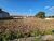 Terreno, 250 m² - Foto 1