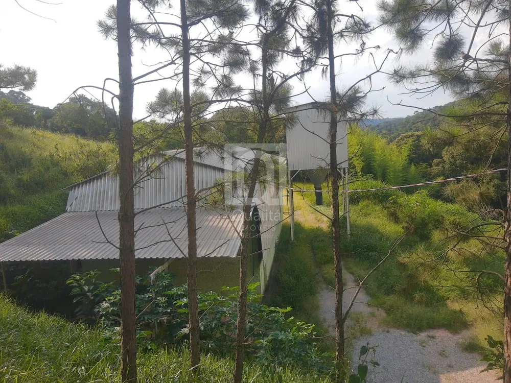 Terreno, 973 m² - Foto 5