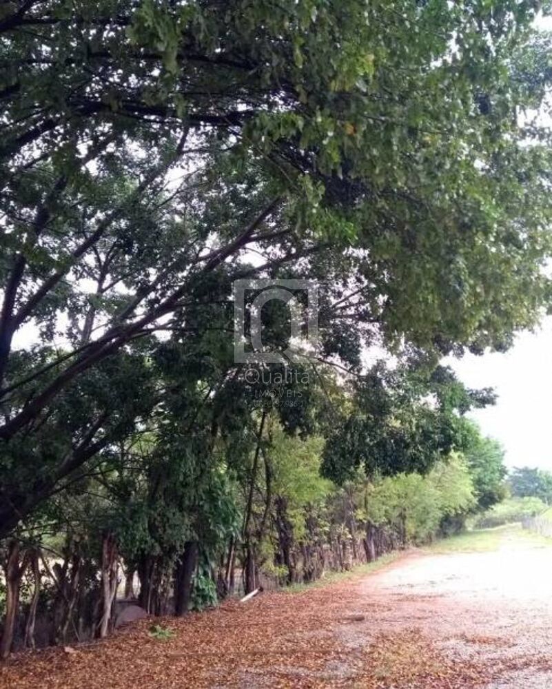 Loteamento e Condomínio - Foto 3