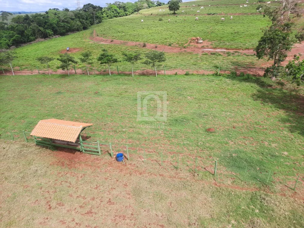 Chácara, 4 quartos, 12 hectares - Foto 32