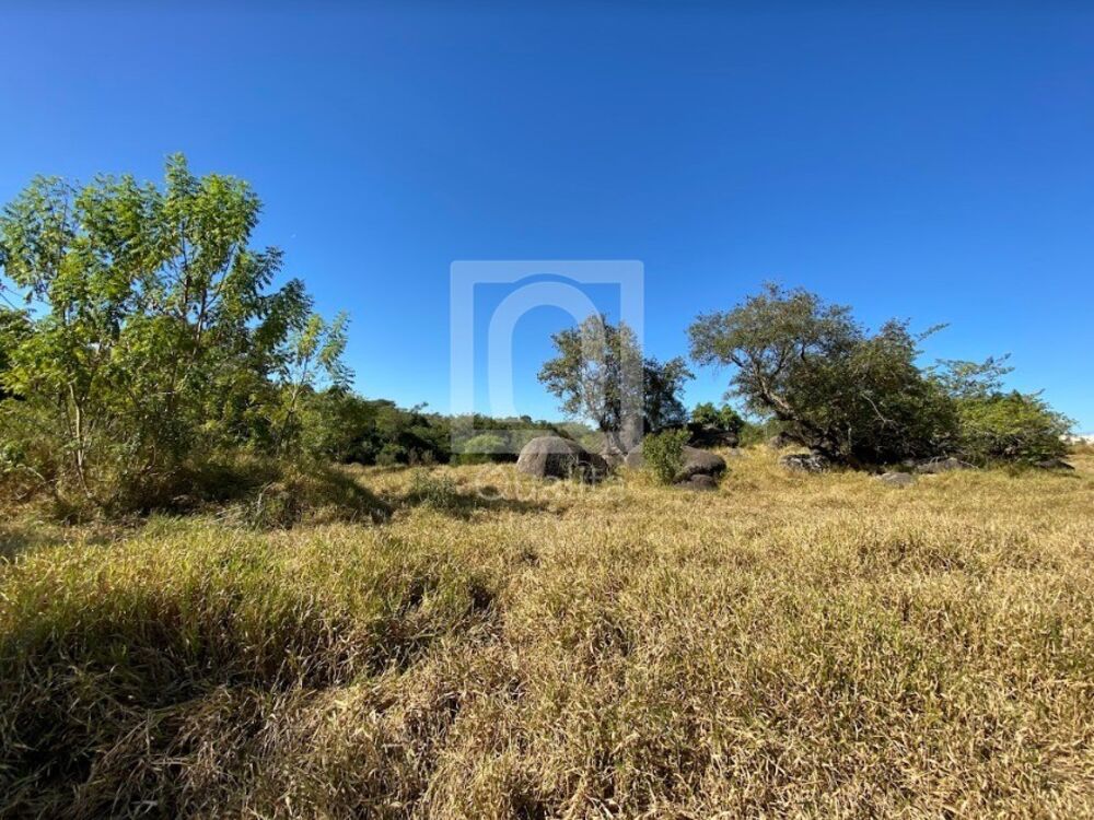 Terreno, 6450 m² - Foto 2