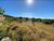 Terreno, 6450 m² - Foto 1