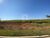 Terreno, 300 m² - Foto 1