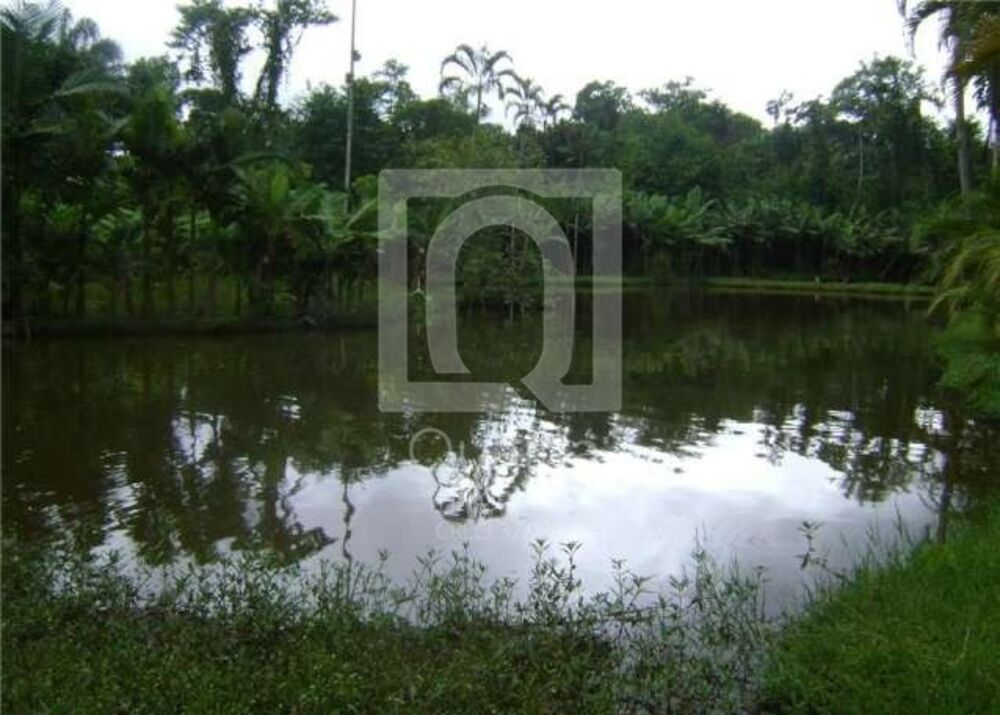 Chácara, 3 quartos, 2 hectares - Foto 14